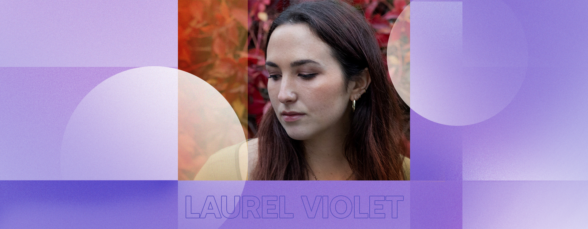 laurel violet