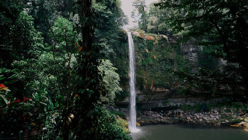 waterfall log footage